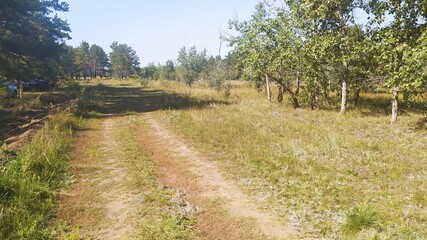 Fototapeta na wymiar path in the mountains