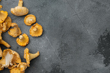 Cantharellus cibarius, chanterelle mushrooms, on gray stone table background, top view flat lay,...