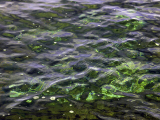 shimmering shades of sea water