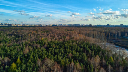 Fototapeta na wymiar Panorama of the city park from a quadcopter 