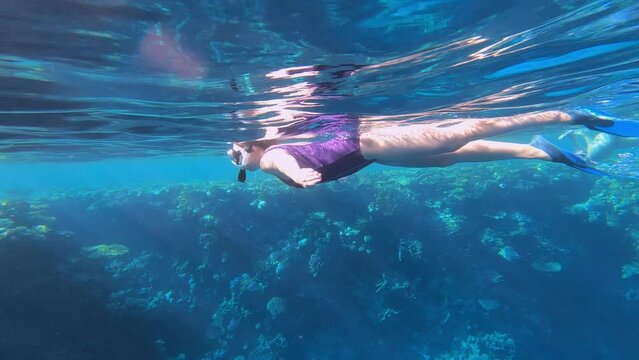 Snorkeling woman diving in clear blue ocean water with beautiful coral and fish. Exploring and enjoying underwater with snorkel, diving mask. Swimming, adventure in summer vacation