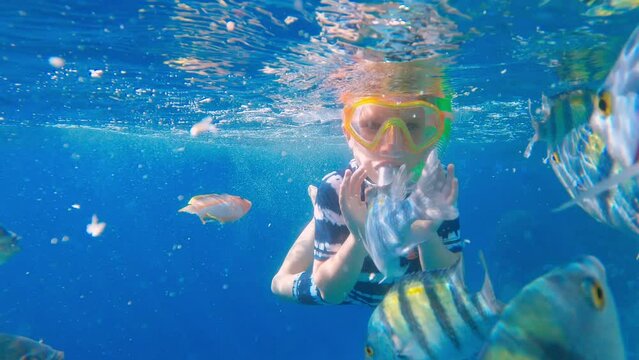 Snorkeling child diving in clear blue ocean water with beautiful coral and fish. Exploring and enjoying underwater with snorkel, diving mask. Swimming, adventure in summer vacation