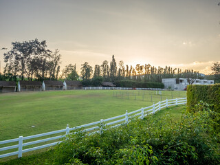 Green grass meadow in farming, at countryside of Thailand under clear fresh sky