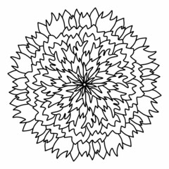 Floral, hand drawn aster mandala flowers in doodle style isolated on white background. Funny and cute coloring for seasonal design, textile, decoration kids playroom or greeting card. Chrysanthemum.