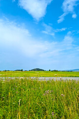 Sunny summer or spring day in a mountainous area. Blue sky.