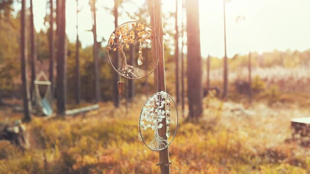 Ornamental flower of life in nature.