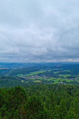 View from a height. Aerial photograph. View of a green forest in a rural mountainous area.