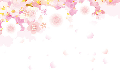 Obraz na płótnie Canvas 桜の舞う　背景イラスト素材