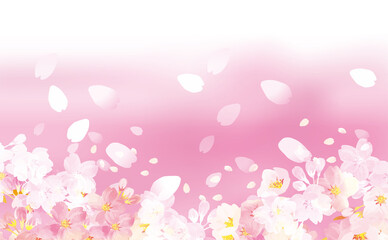 桜の舞う　背景イラスト素材
