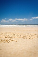 Fototapeta na wymiar Crab balls in sand