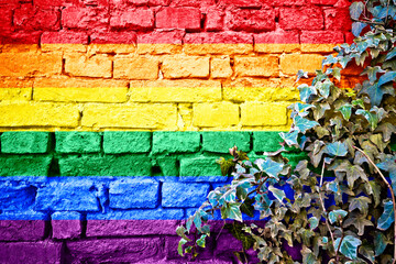 LGBTQ+ pride rainbow grunge flag on brick wall with ivy plant