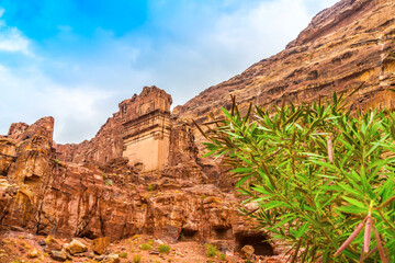 Facade of a beautiful building in the archaeological site of Petra, Jordan, with oleander plant in the foreground.