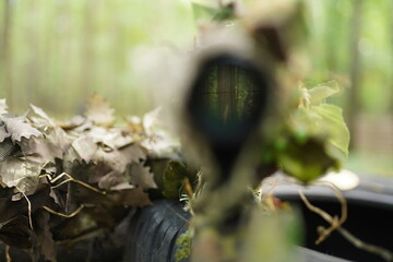 combat sight, military sight, aim at the sight, camouflage in the summer in the forest sight