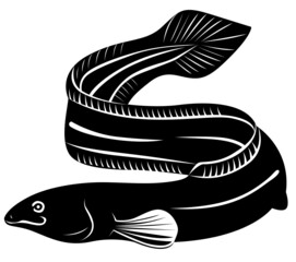 Japanese eel. Ink sketch of fish on old paper background. Hand drawn vector illustration.Design for fishing catch or fisher sport club. Fish market, menu seafood.