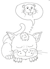 Dream big - hand drawn illustration