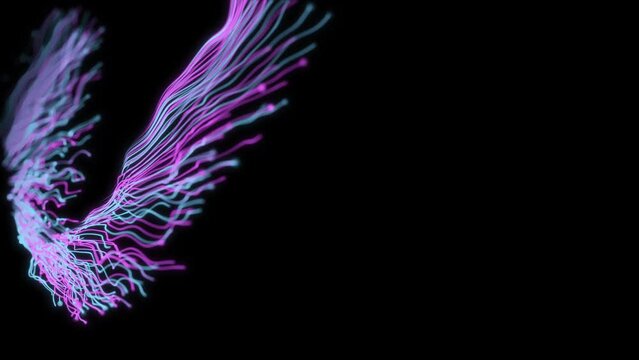 Amazing blue and pink abstract lines scattering randomly on a black background, computer generated