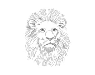 Awesome pencil drawing of a lion's head. abstract lion king face