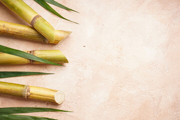 Sugarcane and green leaf on a beige background, space for text. Flat lay.