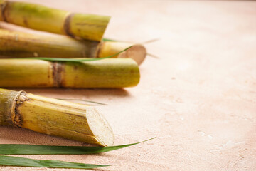 Sugarcane and green leaf close up on beige background, space for text.