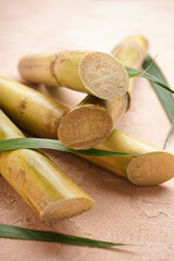Sugarcane and green leaf close up on beige background.
