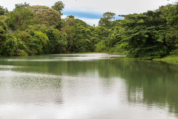 Vista do Jardim Botânico muito verde e arborizado, de Goiânia em Goiás.