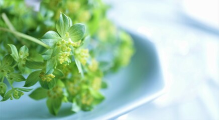 material associated with health