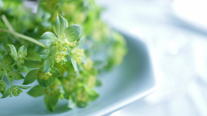 material associated with a healthy morning