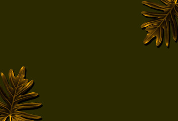 Top view, philodendron xanadu gold color frame isolated on dark green background for design or...