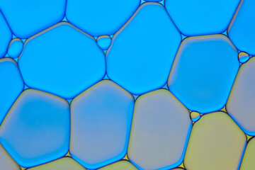 beautiful and bright macro backgrounds	