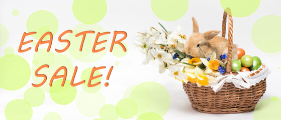 A long banner with the text Easter sale with a beautiful little rabbit in a basket and painted eggs.