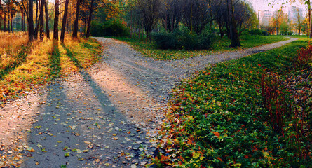 A wide path in the rays of the setting sun on the outskirts of the park is divided into two paths, diverging in different directions. Autumn conceptual landscape