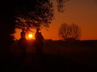 Reiter und Pferde im Sonnenuntergang