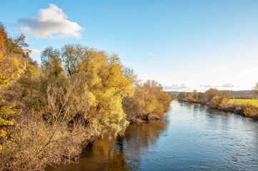 Fototapeta premium autumn in the park