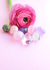 Beautiful pink ranunculus flower and semi-precious stones rose quartz and amethyst lie on a pink...