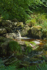 Fototapeta premium Wicklow Mountains National Park, County Dublin, Ireland, wandering around Wickolw Mountains lakes and woodlands, Ireland