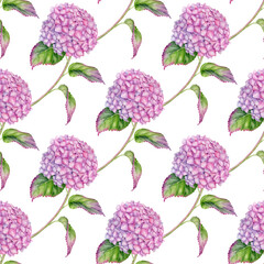 Watercolor Hydrangea seamless pattern. Hand painted pink Hortensia flower with leaves and stem isolated on white background. Flowering plant repeated design for wallpaper, package, fabrics, textile