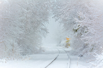 snow covered tracks