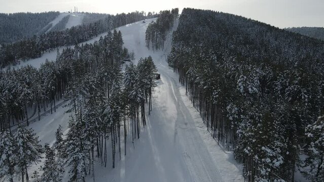 Zlatibor Mountain and Tornik Ski Center Skiing Tracks, Serbia. Drone Aerial View of White Snowy Landscape and Pine Forest