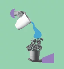 Contemporary art collage of human hands pour out water on ficus plant with watering can. © Yurii Kushniruk