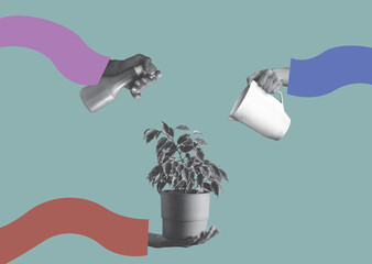 Contemporary trendy art collage of human hands watering ficus plant with watering can and sprayer.