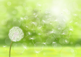 A graphic image with a white dandelion with a dreamy background in the spring and sky.