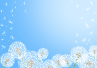 A graphic image with a white dandelion with a dreamy background in the spring and sky.