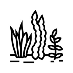 seaweed seafood line icon vector. seaweed seafood sign. isolated contour symbol black illustration