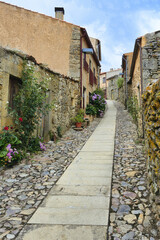 Narrow street with flowers and old stone houses, Castelo Rodrigo village, Serra da Estrela, Beira Alta, Portugal
