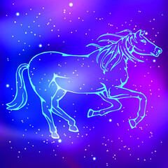 Zodiac. Chinese horoscope. Outline horse image. Starry sky. Vector illustration.