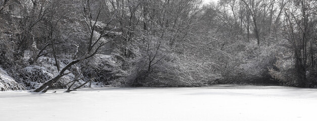 gloomy winter landscape on the pond