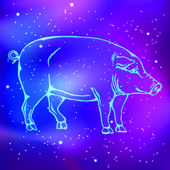 Zodiac. Line drawing of a pig. Multi-colored night sky with ramps. Vector illustration
