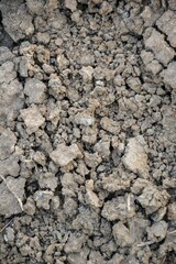 dry crack soil texture
