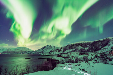 Fototapeta na wymiar Northern light in Tromsø, Norway