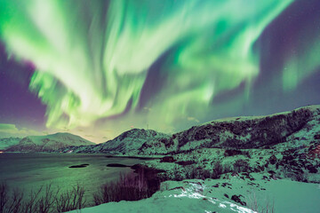 Northern light in Tromsø, aurora of Norway